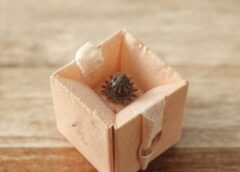 Jak zrobić fidget toys z papieru? Przewodnik krok po kroku